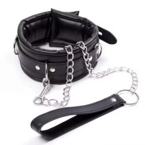 Executive Padded Leather Collar & Leash