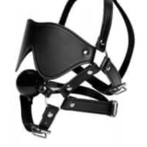 Strict Eye Mask Harness with Ball Gag